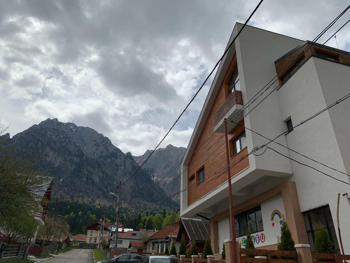 Hotel Vila Curcubeu Buşteni Exteriér fotografie
