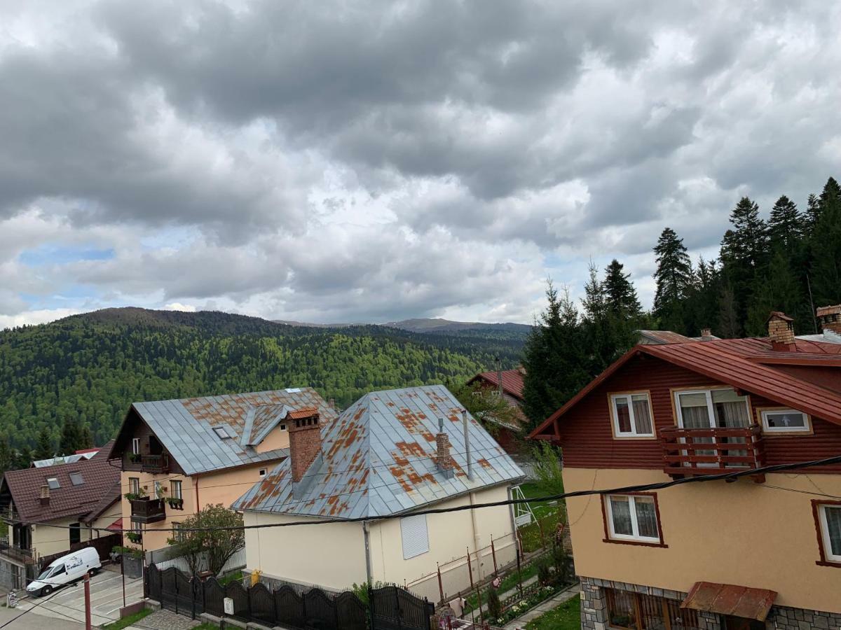 Hotel Vila Curcubeu Buşteni Exteriér fotografie