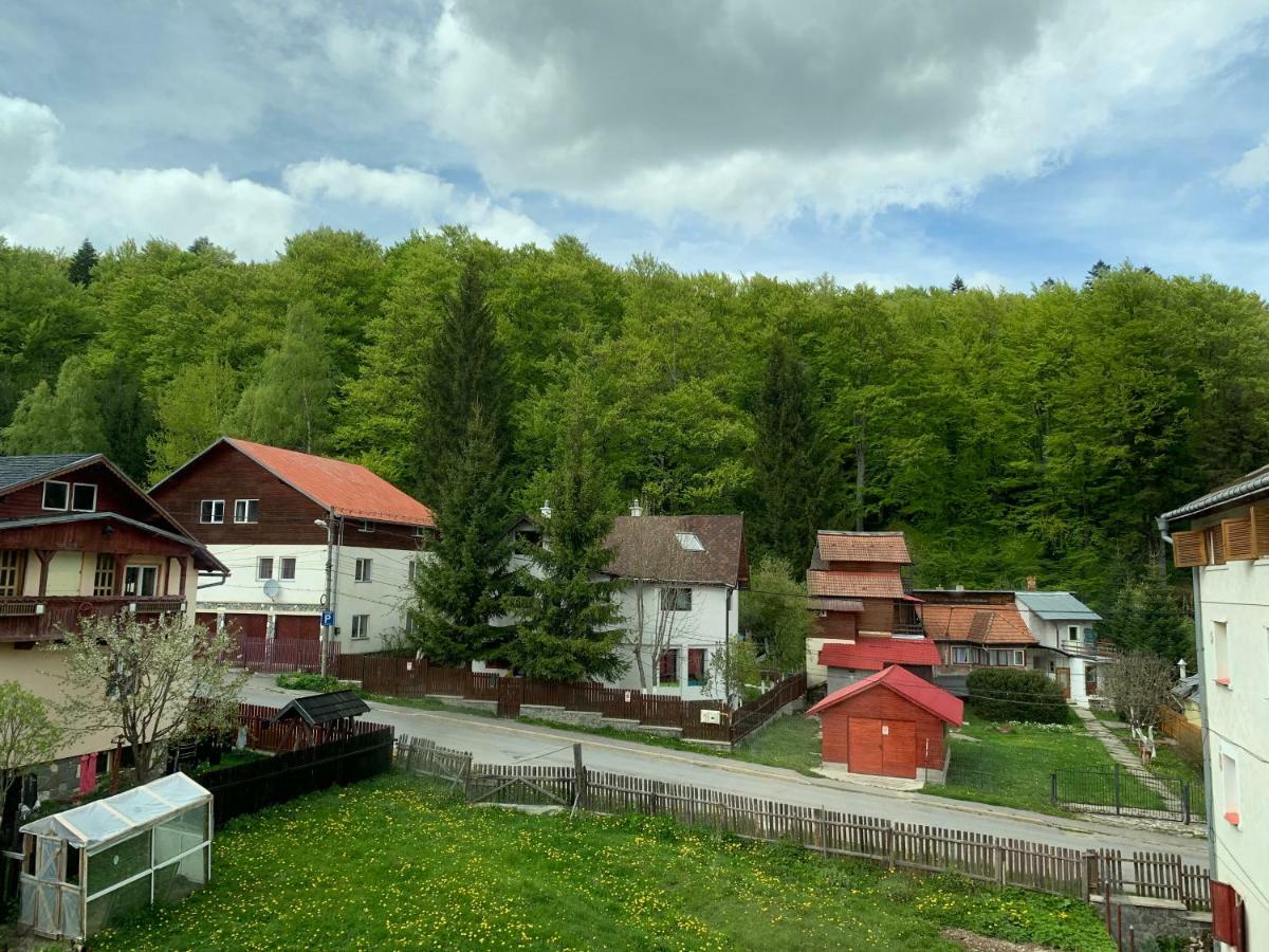 Hotel Vila Curcubeu Buşteni Exteriér fotografie