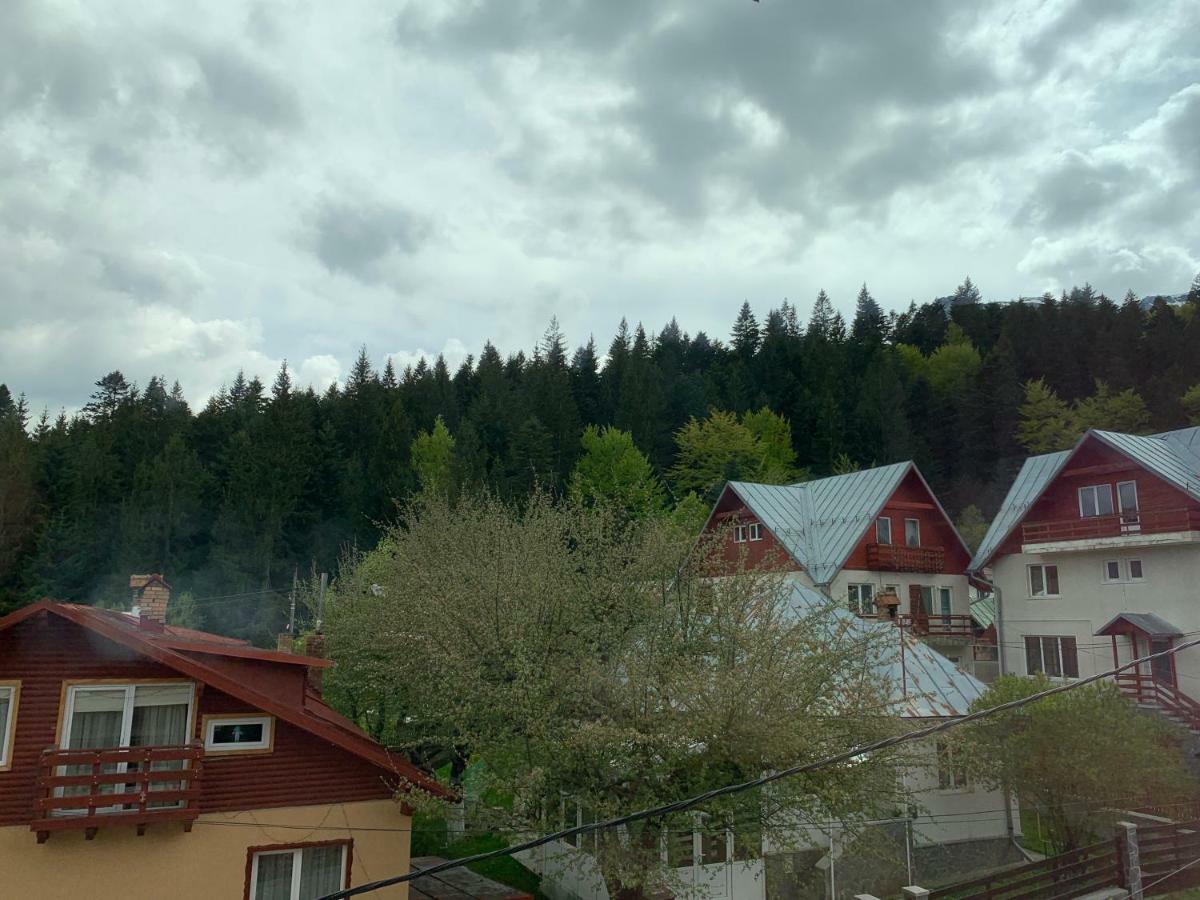 Hotel Vila Curcubeu Buşteni Exteriér fotografie