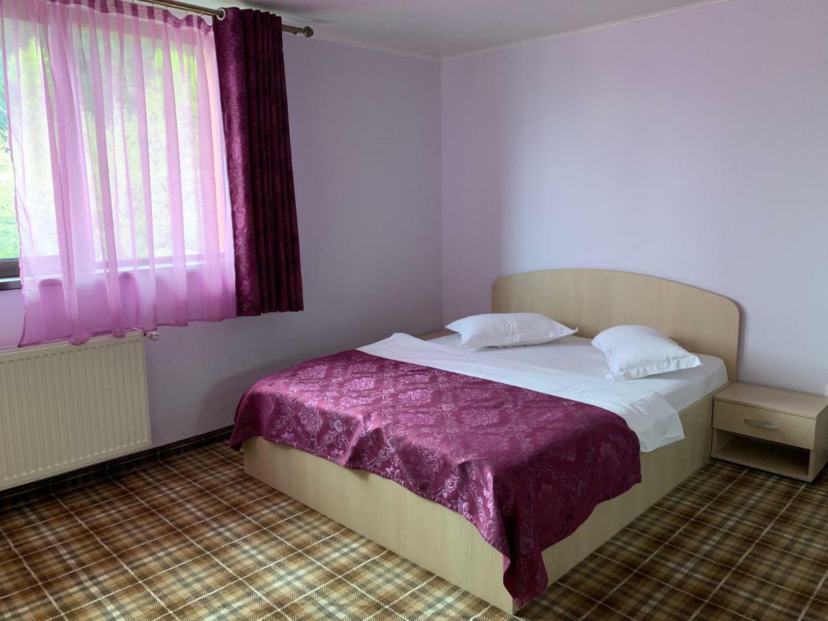 Hotel Vila Curcubeu Buşteni Exteriér fotografie