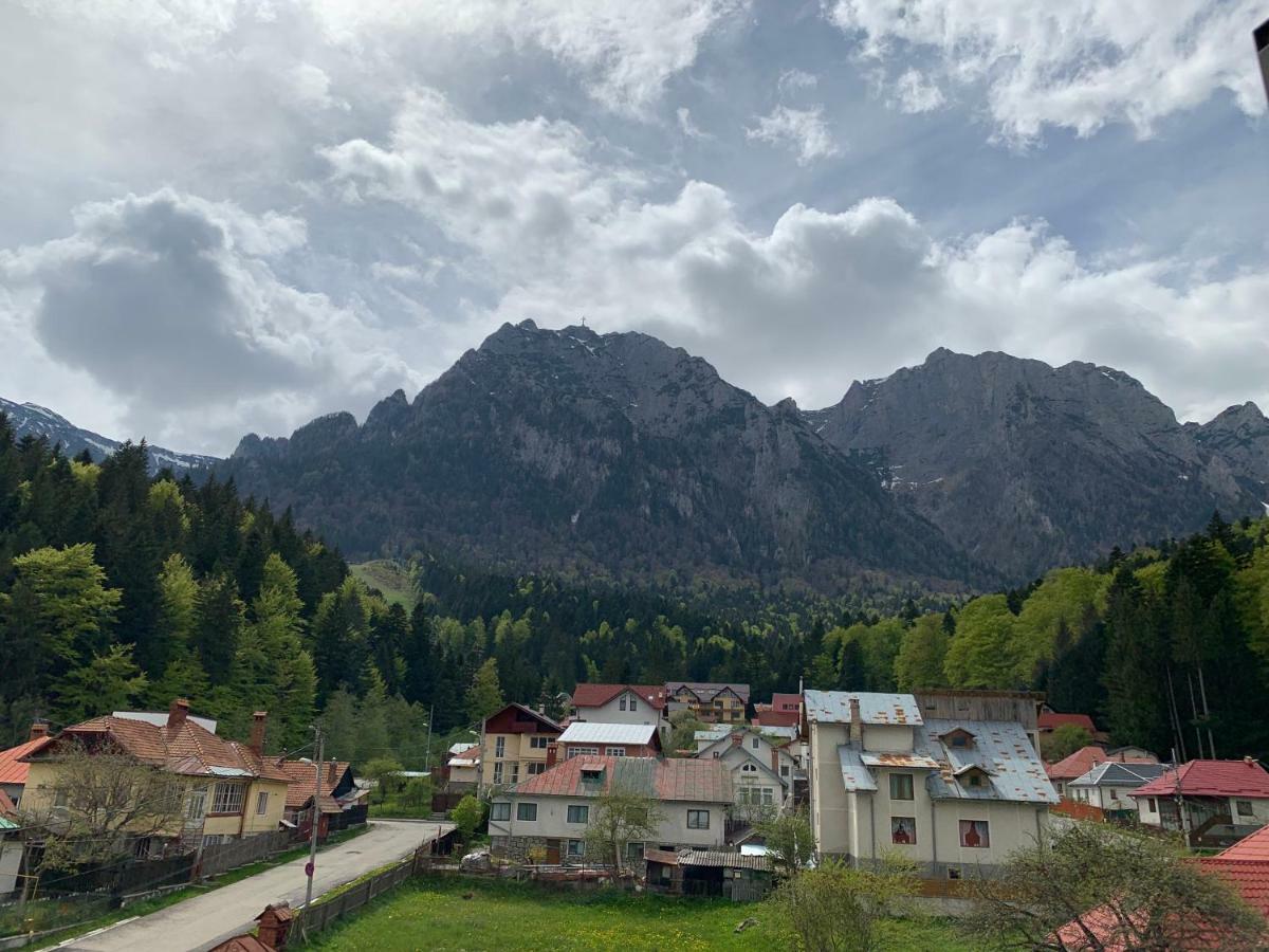 Hotel Vila Curcubeu Buşteni Exteriér fotografie